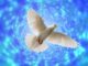 pentecostes